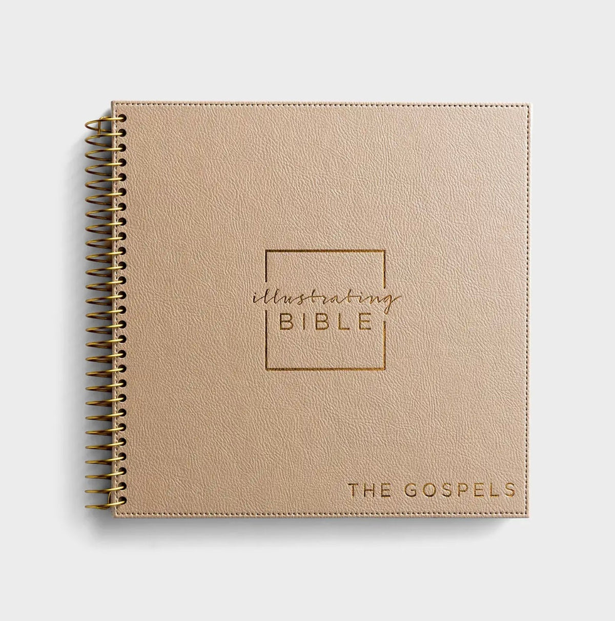 Illustrating Bible - The Gospels